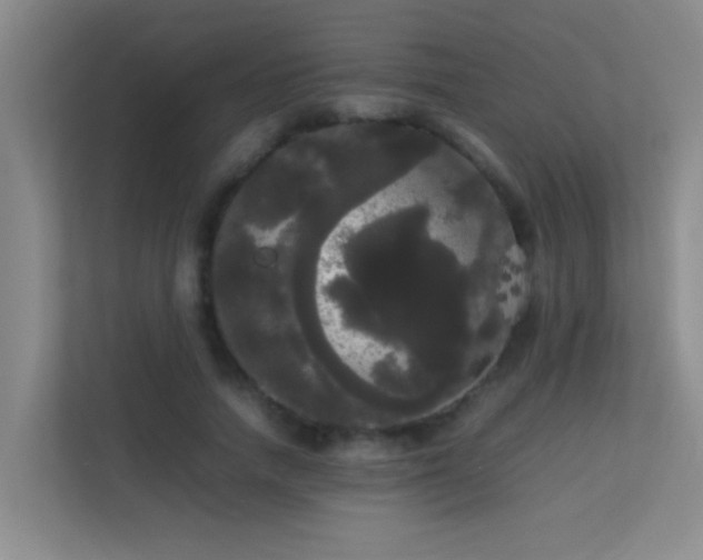 X0000113850738200909241247