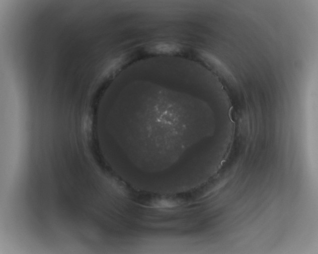 X0000113850739200909241247