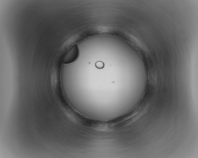 X0000113850740200909241247