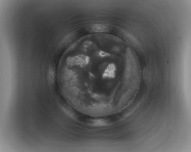 X0000113850741200909241247