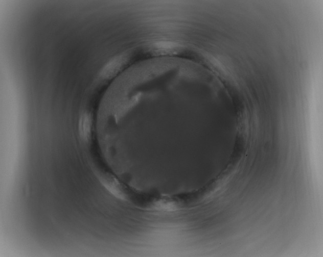 X0000113850742200909241247