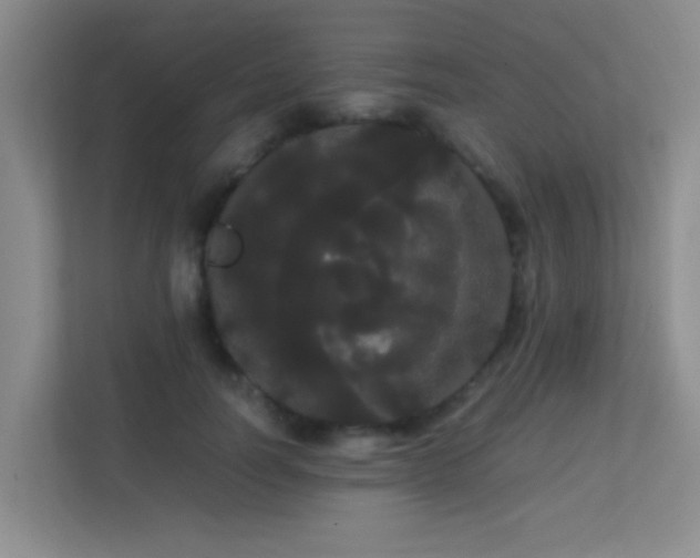 X0000113850746200909241247