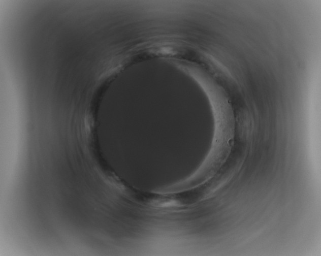 X0000113850747200909241247