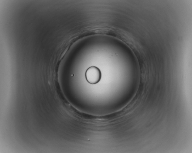 X0000113850748200909241247