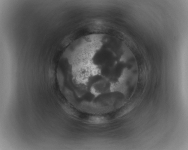 X0000113850749200909241247