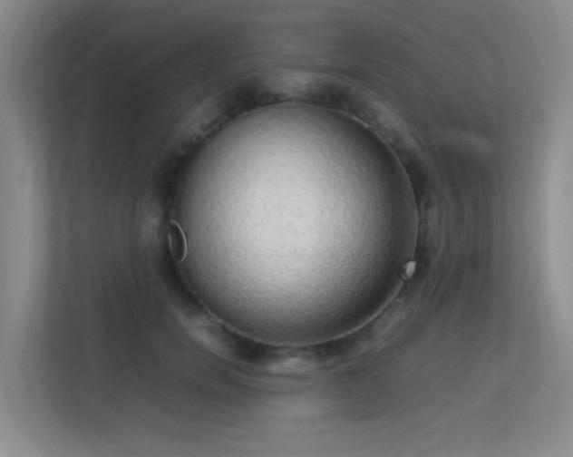 X0000113850750200909241247