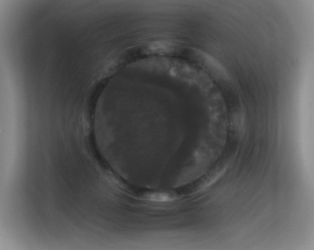 X0000113850751200909241247