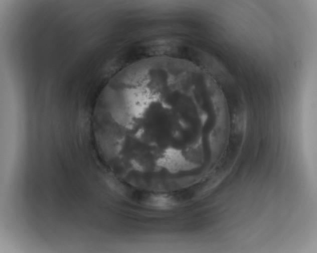 X0000113850753200909241247