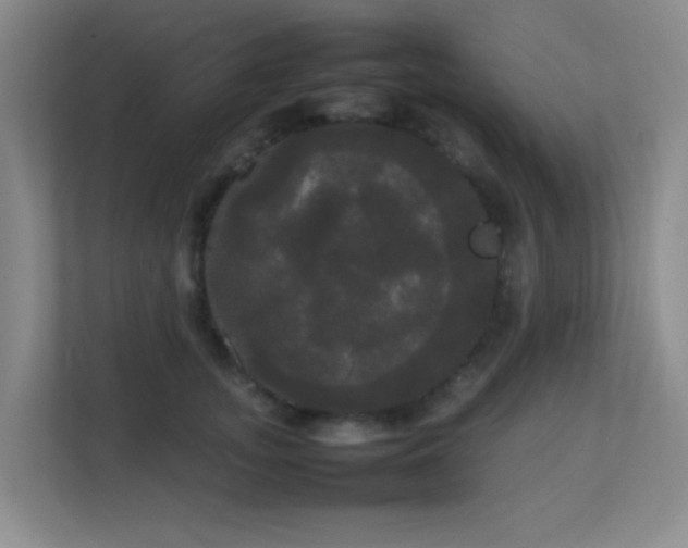 X0000113850755200909241247