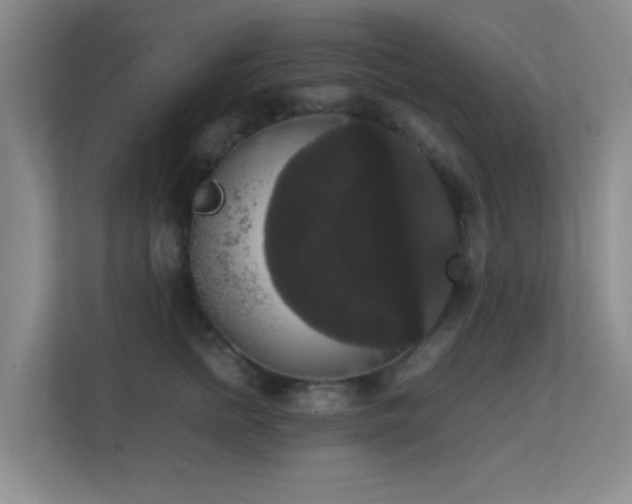 X0000113850758200909241247