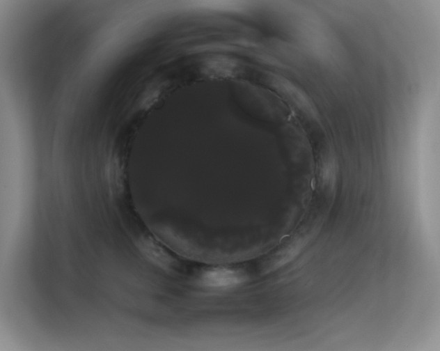 X0000113850759200909241247