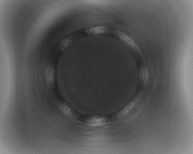 X0000113850760200909241247