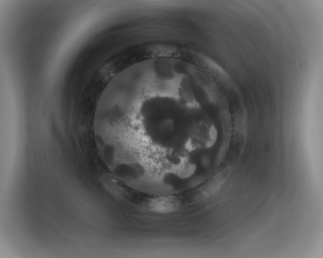 X0000113850761200909241247