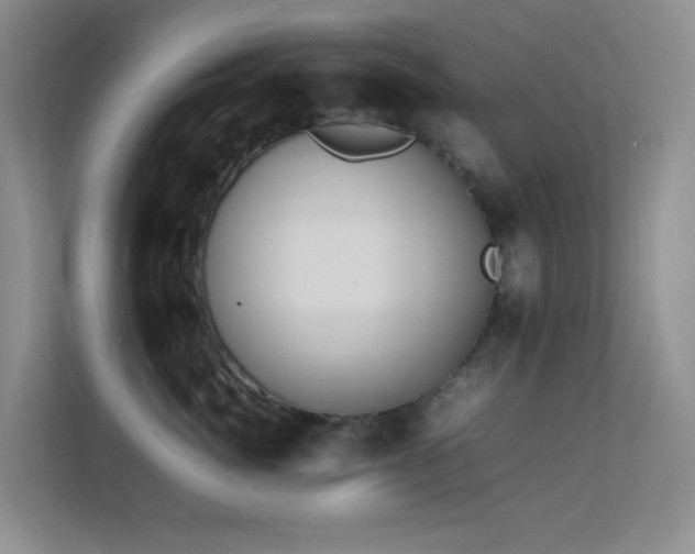 X0000113850764200909241247