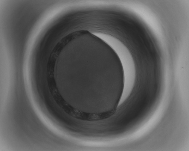 X0000113850766200909241247