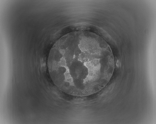 X0000113850771200909241247