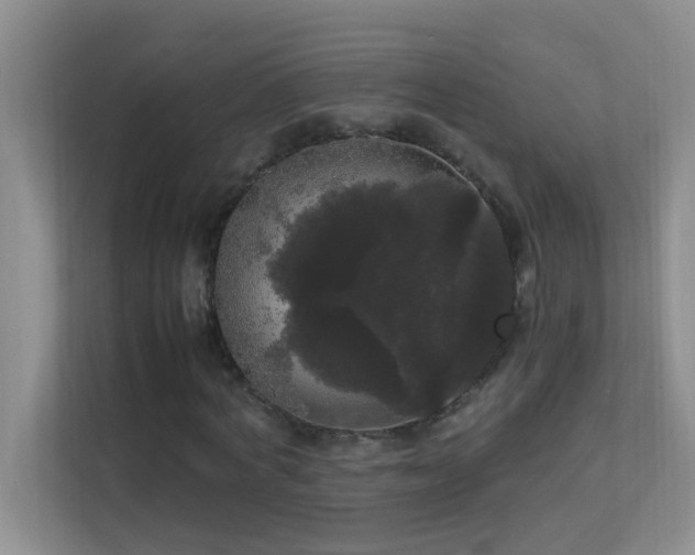 X0000113850772200909241247