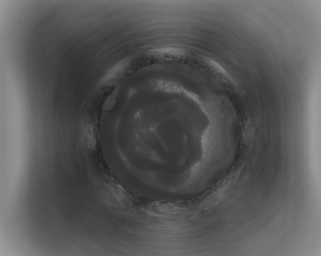 X0000113850774200909241247