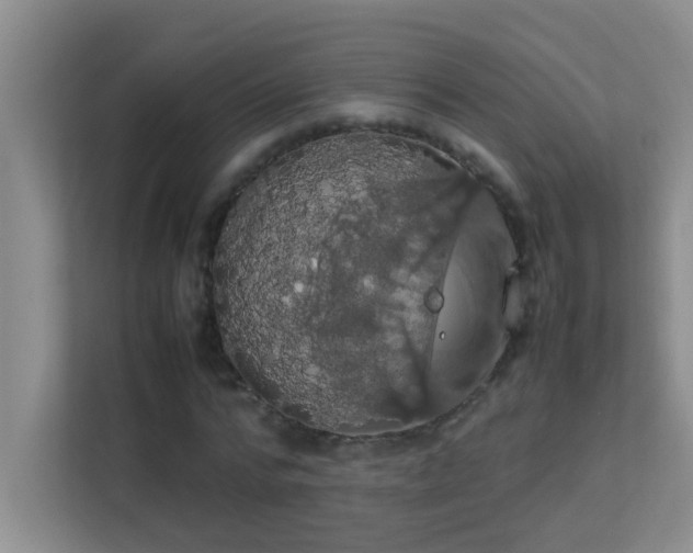 X0000113850776200909241247