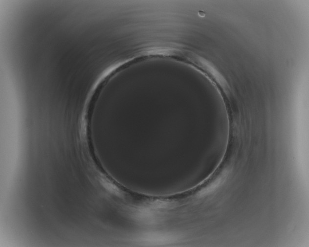 X0000113850779200909241247