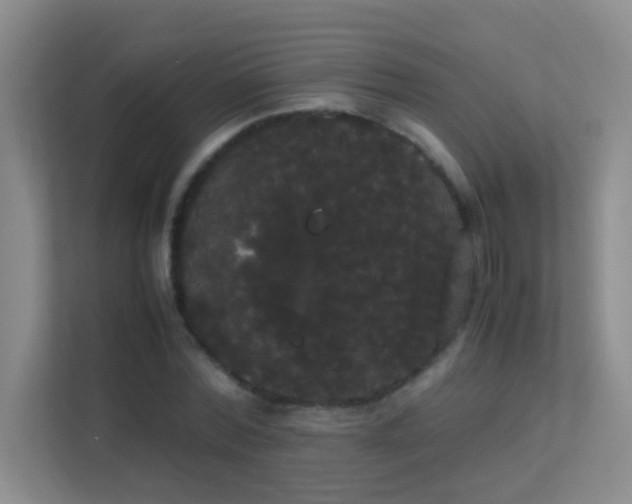 X0000113850780200909241246