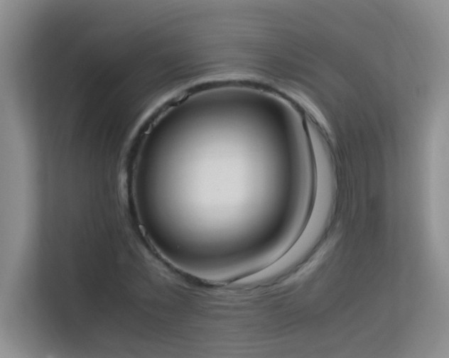 X0000113850781200909241246