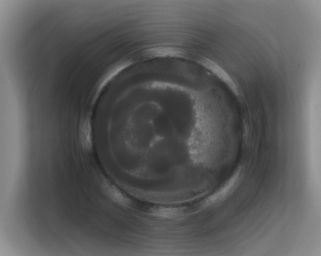 X0000113850782200909241246