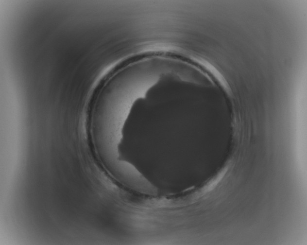 X0000113850783200909241246