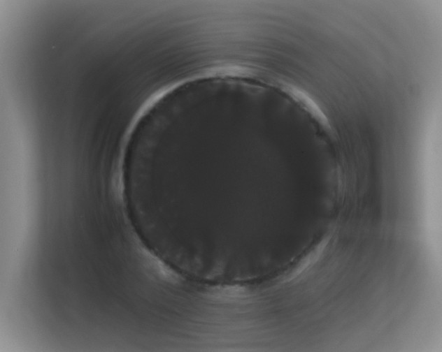 X0000113850784200909241246