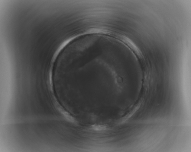 X0000113850788200909241246