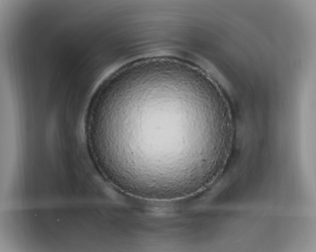 X0000113850789200909241246