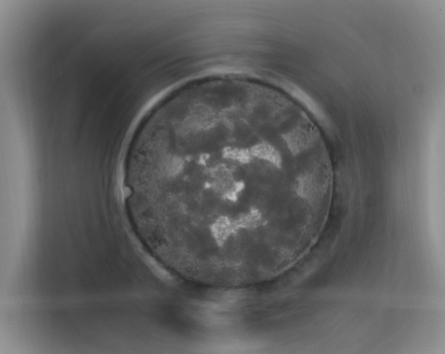 X0000113850791200909241246