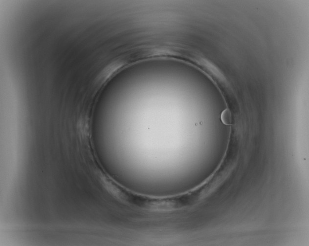 X0000113850793200909241246