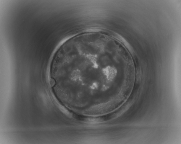 X0000113850795200909241246