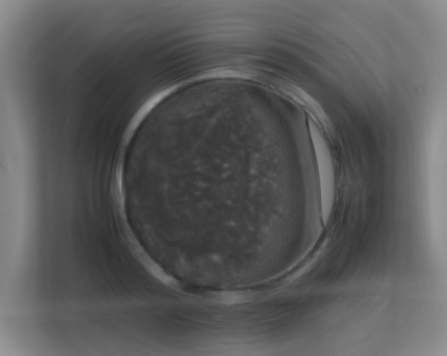 X0000113850796200909241246