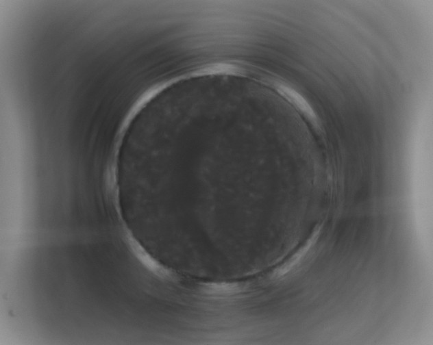 X0000113850800200909241246