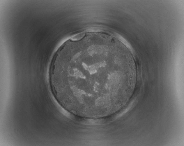 X0000113850803200909241246