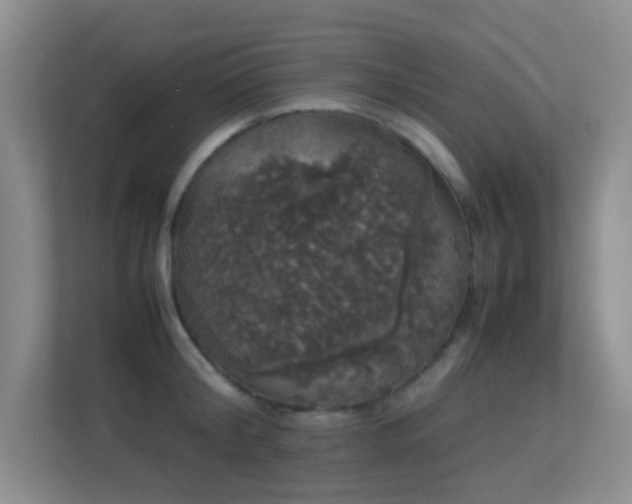 X0000113850804200909241246