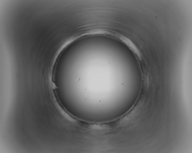 X0000113850805200909241246