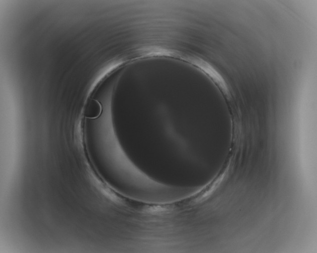 X0000113850806200909241246