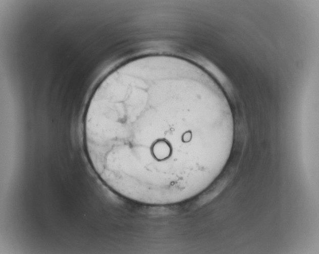 X0000113850807200909241246