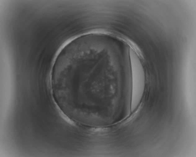 X0000113850808200909241246