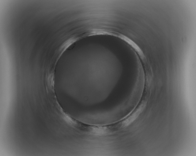 X0000113850809200909241246