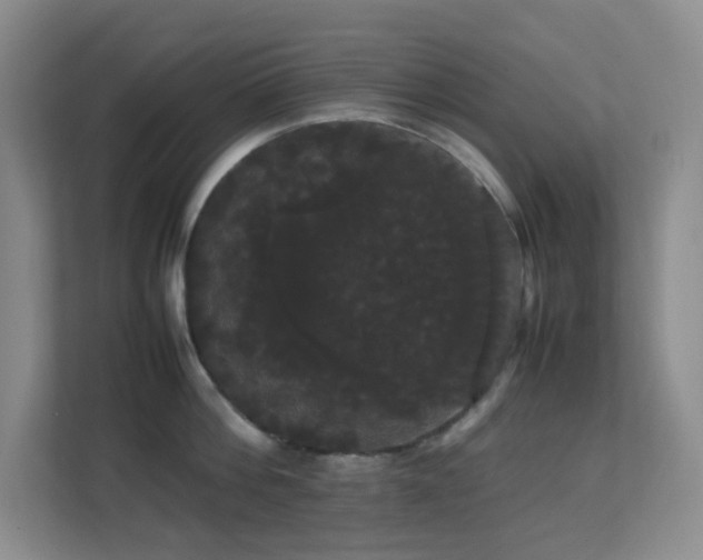 X0000113850812200909241246