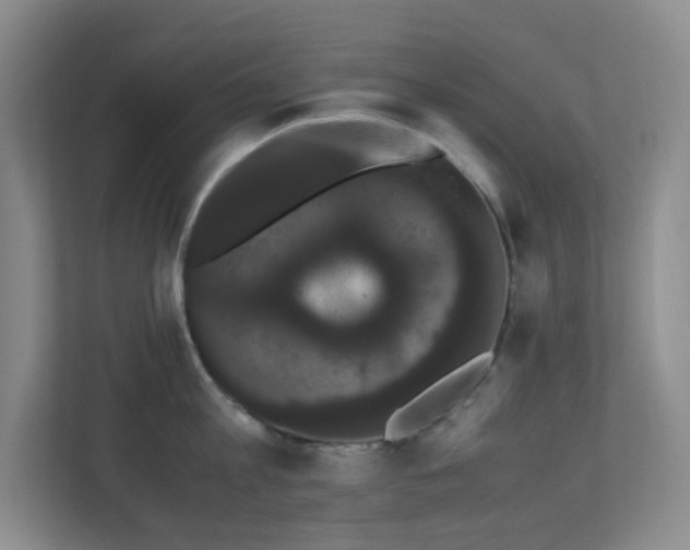 X0000113850813200909241246