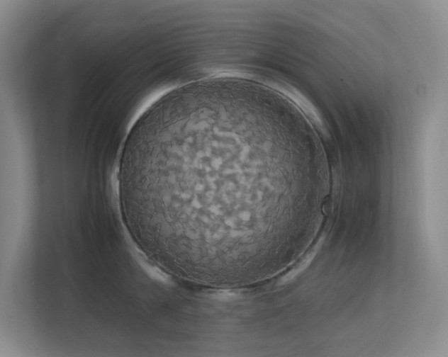 X0000113850814200909241246