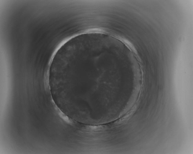 X0000113850816200909241246