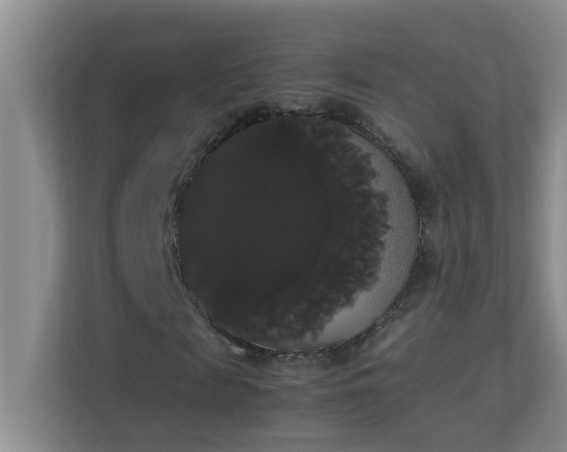 X0000113850817200909241245