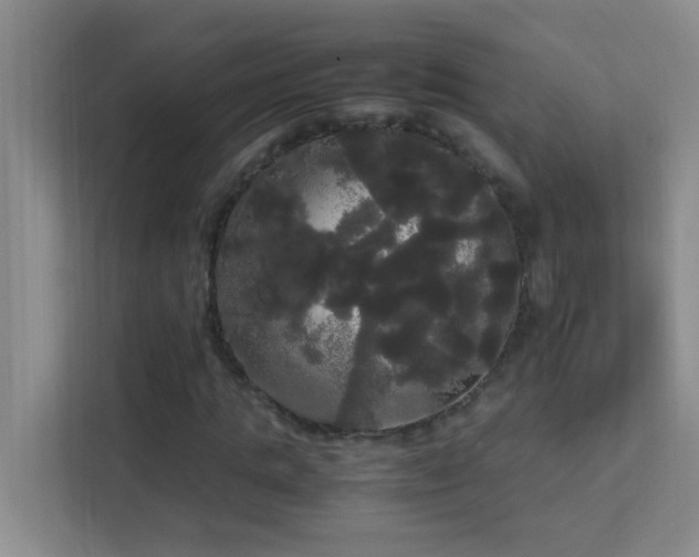 X0000113850821200909241245