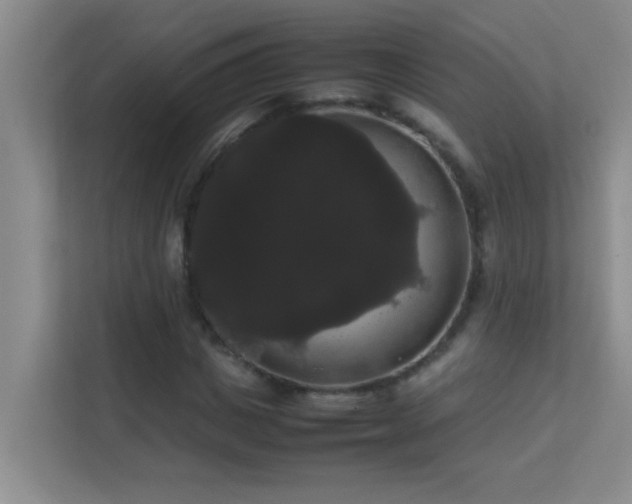 X0000113850825200909241246